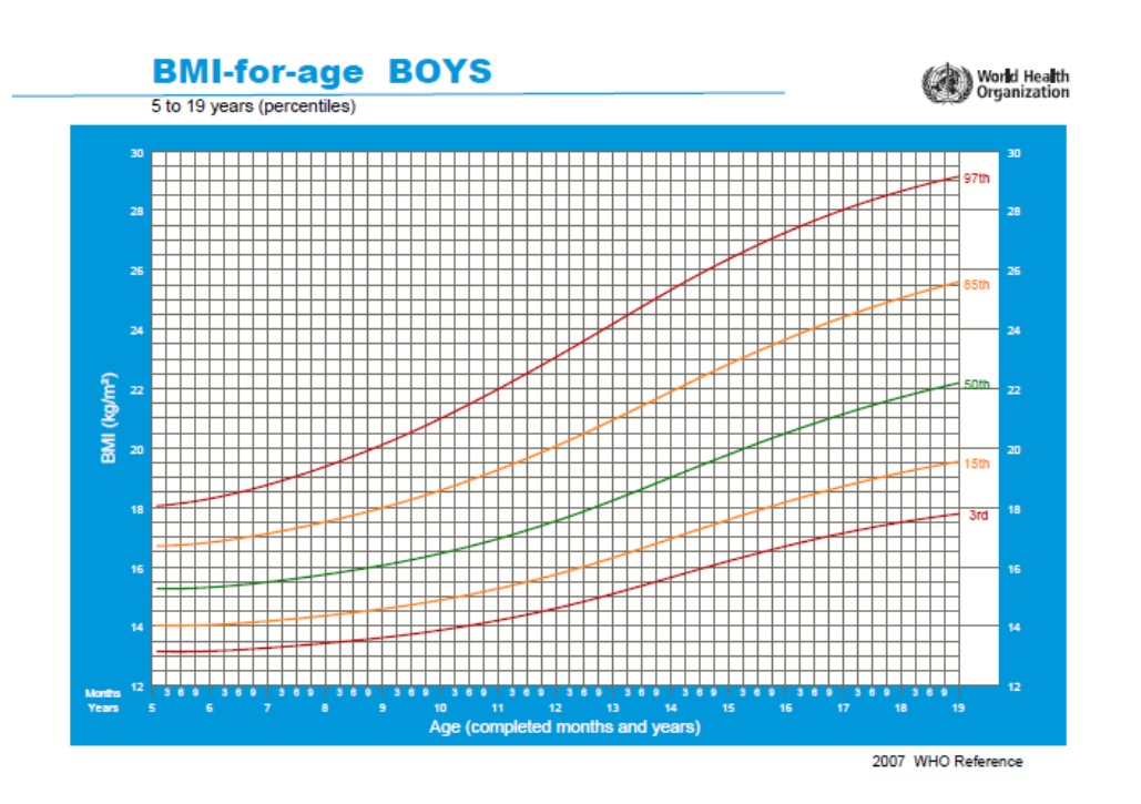 Figure 2: Fig. 1. Body mass index (BMI) (5-19 years) – boys (Source ...